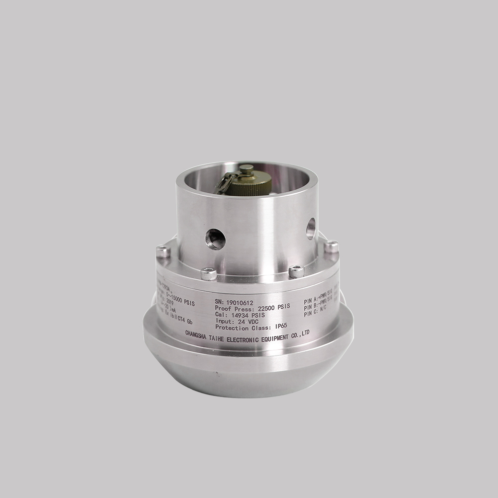 Anti-corrosion Hammer Union Pressure Transmitter PPM-T293E  